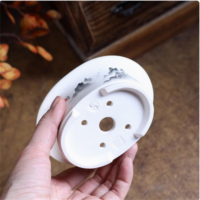 Porcelain White Oval Bonsai Po - Plant Pot Small Desk recensie en prijs