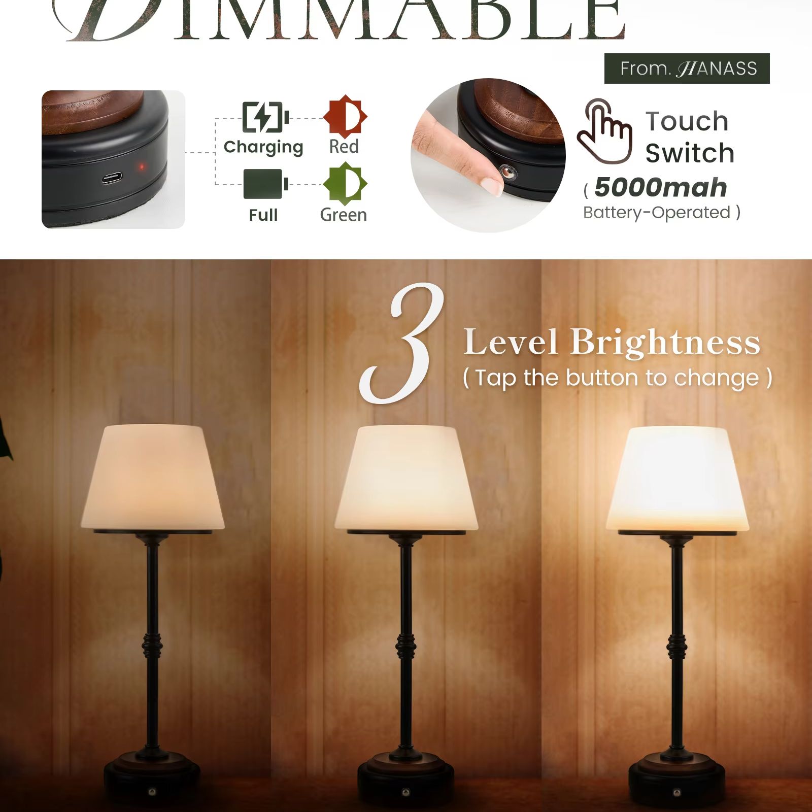 Cordless Table Lamps Set of  5 - Desk Room Setup recensie en prijs