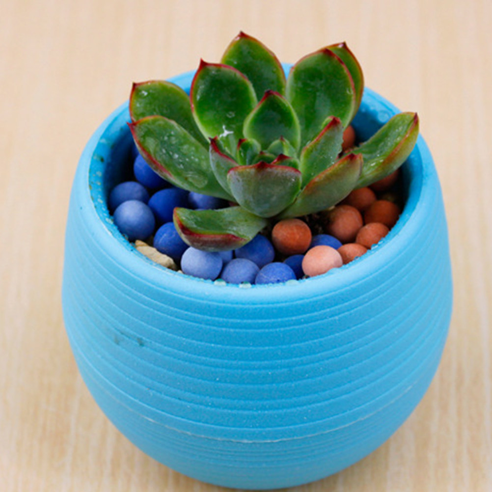 Mini Resin Succulent Pots Roun - Plant Pot Small Desk recensie en prijs