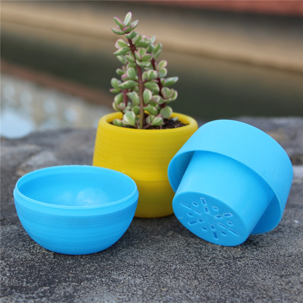 Mini Resin Succulent Pots Roun - Plant Pot Small Desk recensie en prijs