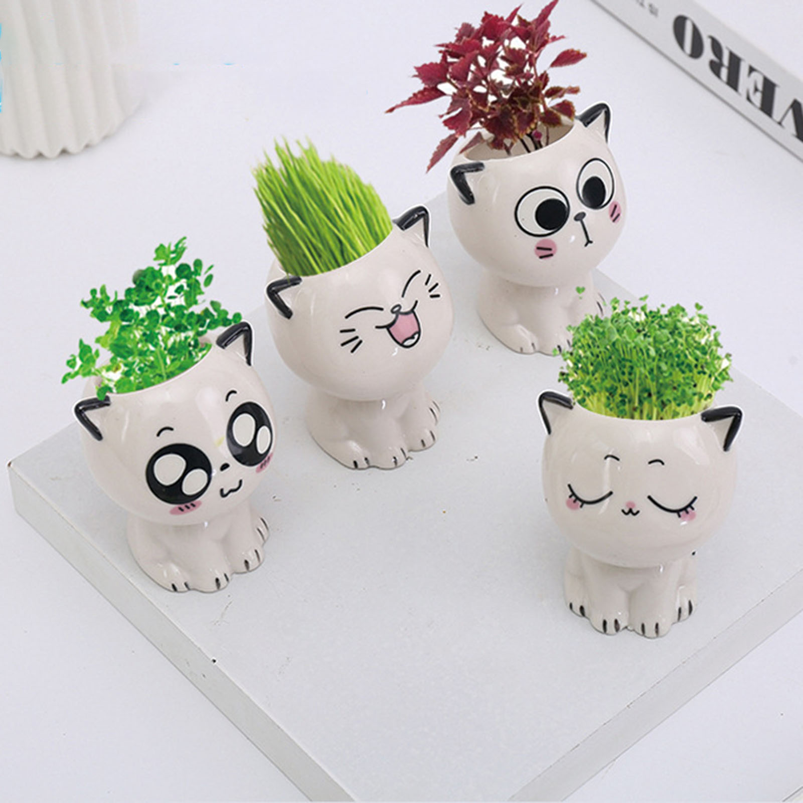 Cat Shaped Ceramic Flowerpot C - Plant Pot Small Desk recensie en prijs
