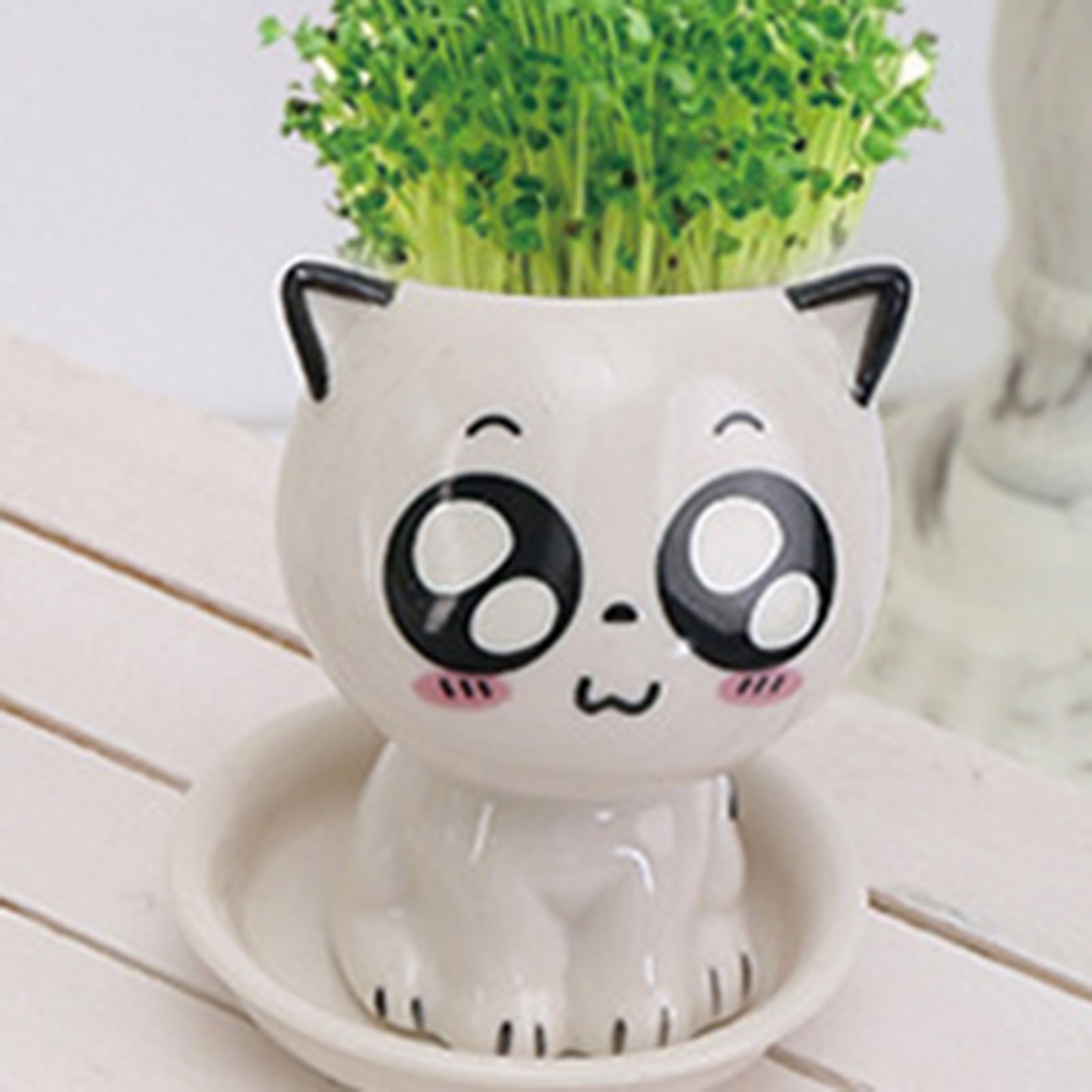 Cat Shaped Ceramic Flowerpot C - Plant Pot Small Desk recensie en prijs