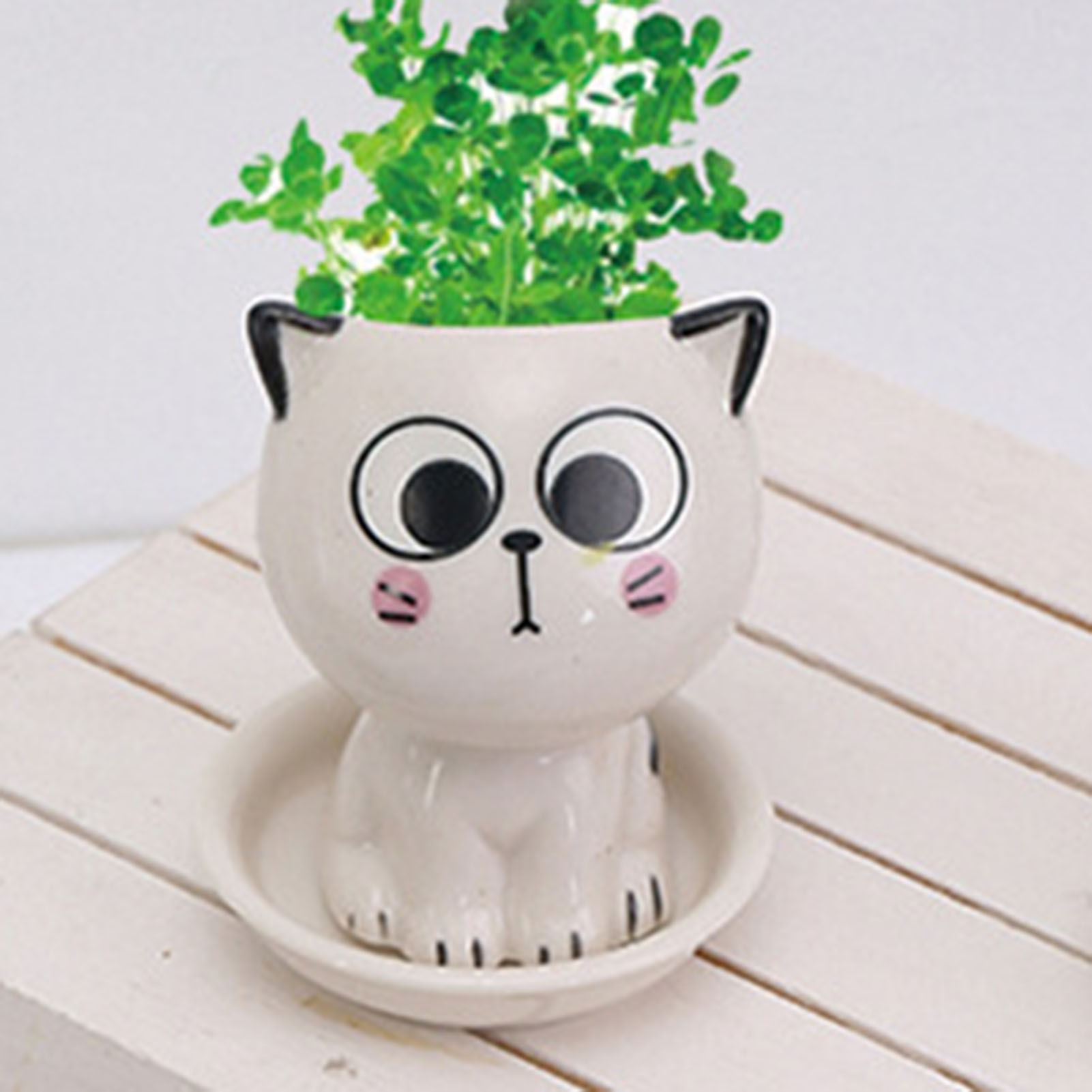 Cat Shaped Ceramic Flowerpot C - Plant Pot Small Desk recensie en prijs