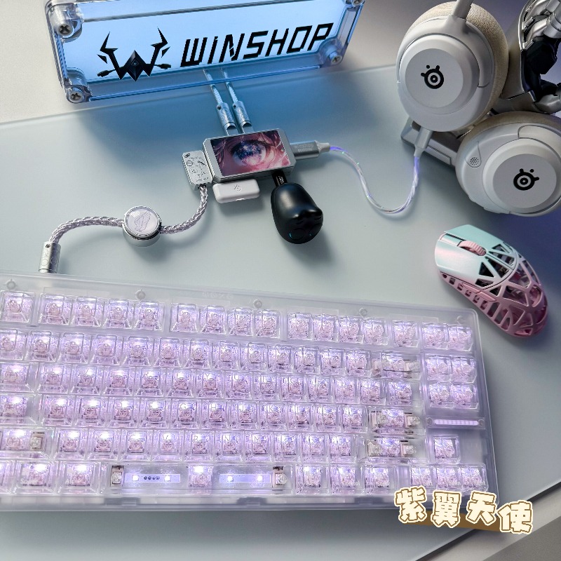 WINSHOP HUB Esports Dual-In 4- - Desk Setup Usb Hub recensie en prijs