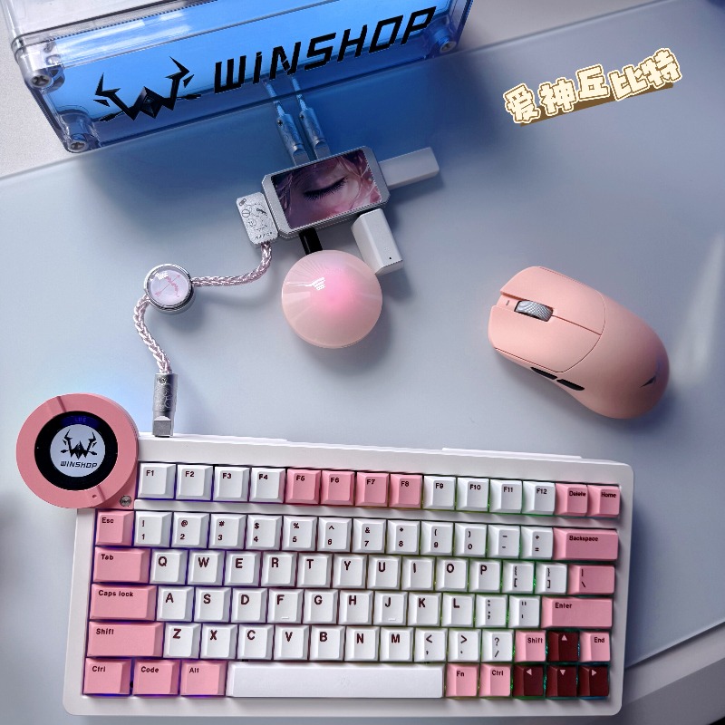 WINSHOP HUB Esports Dual-In 4- - Desk Setup Usb Hub recensie en prijs