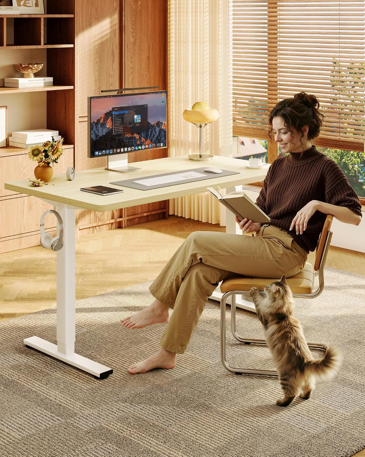Electric Height Adjustable Sta - Desk Setup One Monitor recensie en prijs